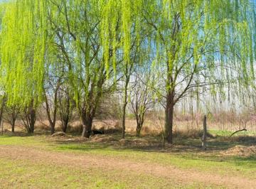 Terreno · 2000m² · Venta Lote Tunuyán
