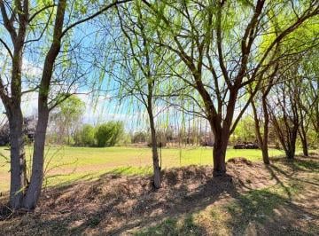 Terreno · 2000m² · Venta Lote Tunuyán