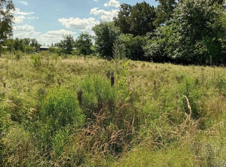 Terreno · 5000m²