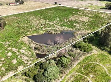Campo · 4ha · Vendo Campo Terreno 4,4 Hectáreas C Tajamar Sauce