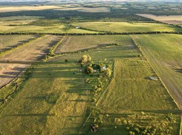 Campo · 179ha · Campo 180 Ha Agricola Ganadero Paysandu