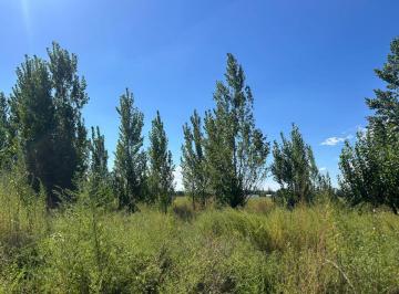 Terreno , Tunuyán · Lote en Venta, Tunuyan, 497 m, Callejon Ruano