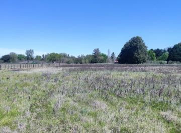Campo · 10019m² · Lote Unico de 1 Ha en Carlos Keen Lujan