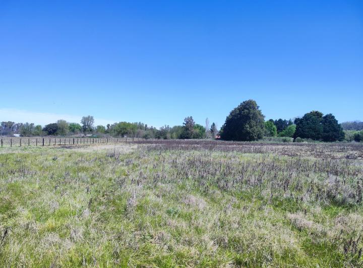 Terreno · 10019m²