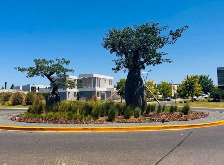 Terreno · 1037m²