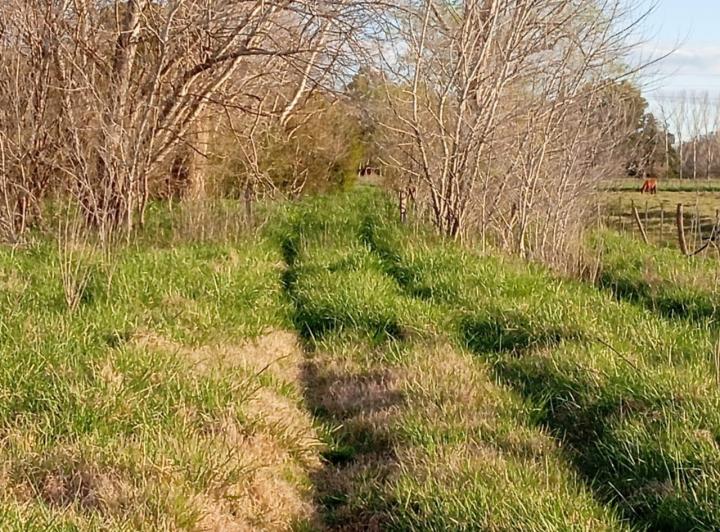 Terreno · 100m² · 3 Ambientes