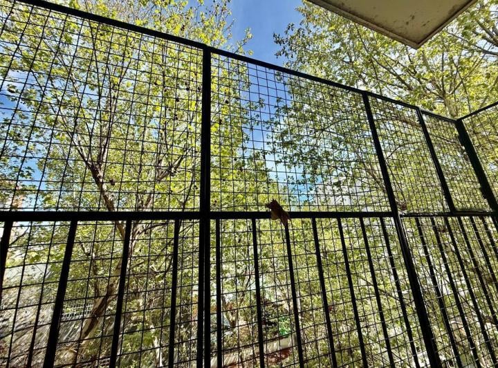 Departamento · 52m² · 3 Ambientes