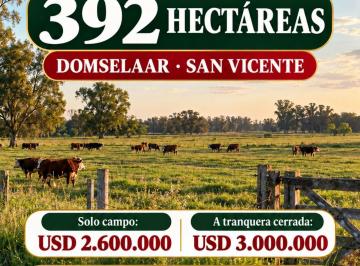 Campo · Campo - San Vicente