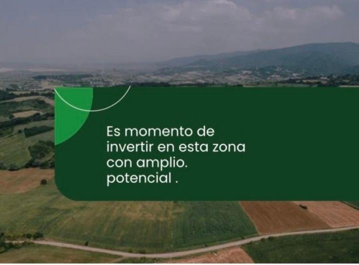 Campo · 23ha