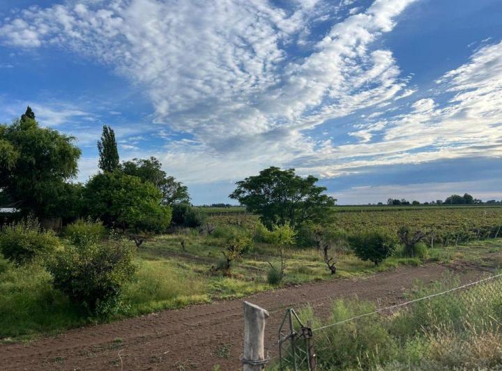 Campo · 20ha
