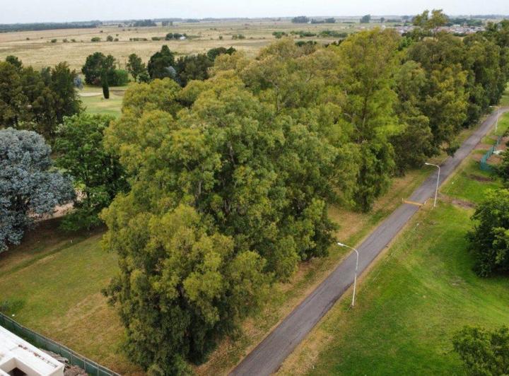 Terreno · 670m²