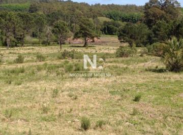 Foto1 · Venta Chacra Sobre Camino La Pataia Punta Ballena