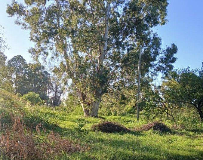 Terreno · 439m²