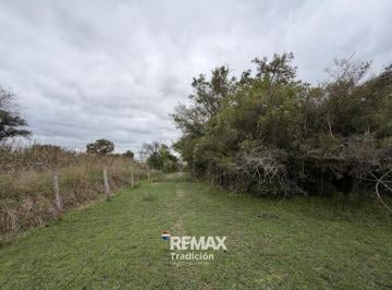 Campo · 84ha · Venta Campo Sobre Ruta 11