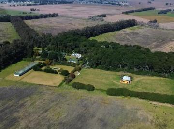 Campo · 5500m² · Campo en Venta - - m - Balneario Mar Chiquita