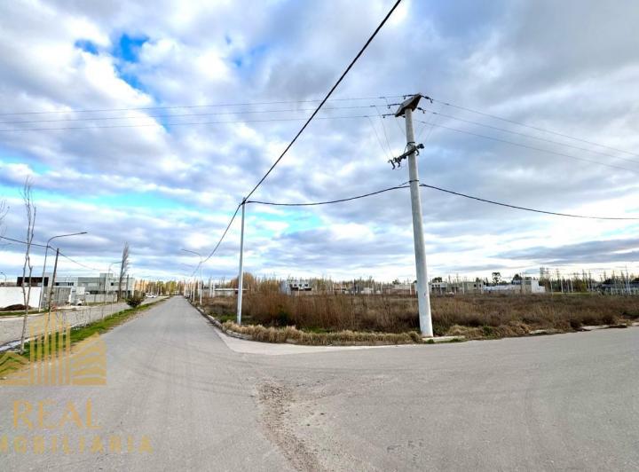 Terreno · 335m²