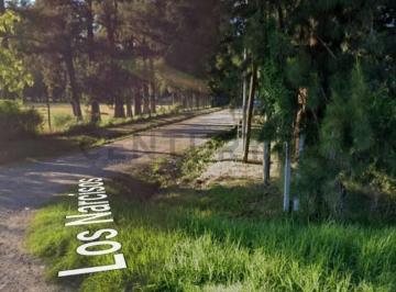 Terreno · 871m² · Venta - Lote Comercial Premium 871 m² | Km 50 Ruta 8 - Pilar | Todos Los Servicios