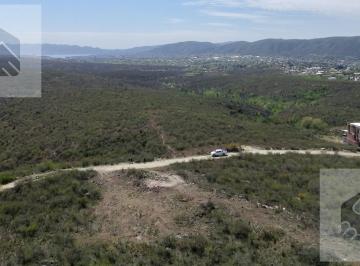 Terreno · 1000m² · Terreno de 1000 m² Ubicado en Tierra Maritima 2 |pla4909