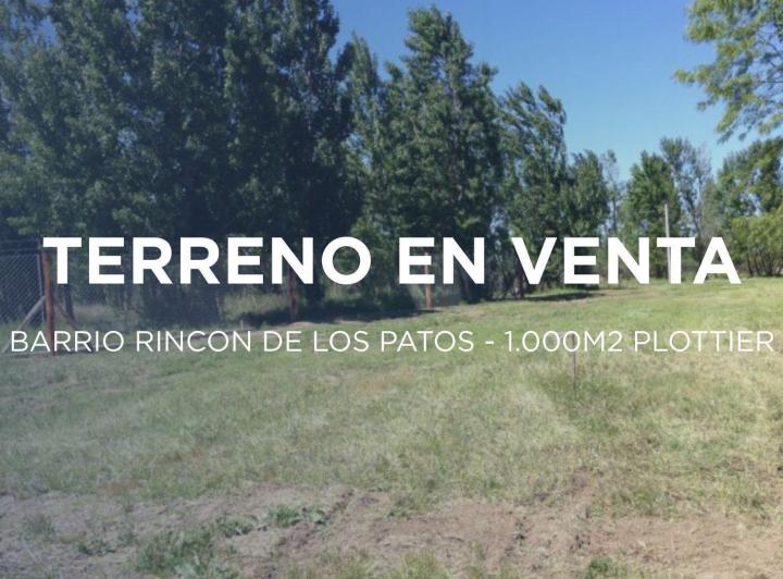 Terreno · 1000m²