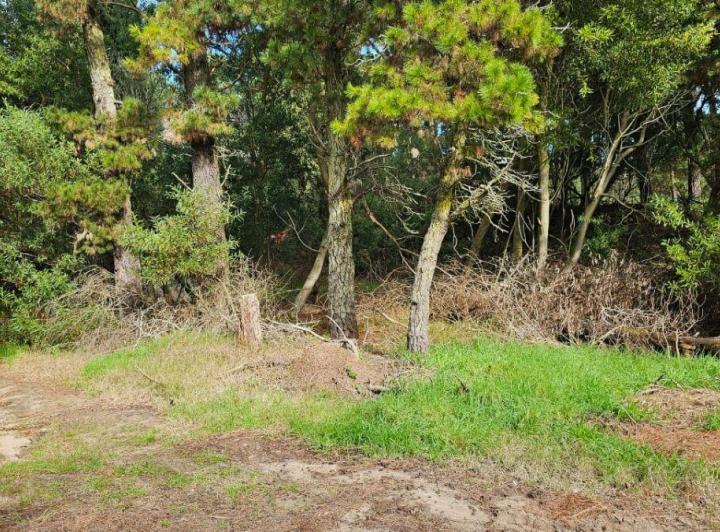 Terreno · 450m²
