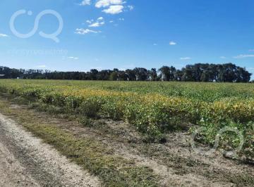 Terreno · 2600m² · Venta Lote 2600 m², Carlos Keen
