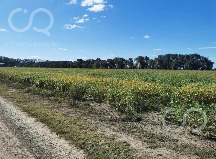Terreno · 2600m²
