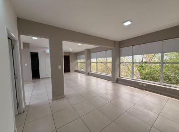 Oficina comercial de 3 ambientes, Dorrego · Oficina Alto Dorrego