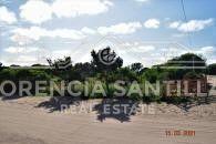 Terreno · 2500m²