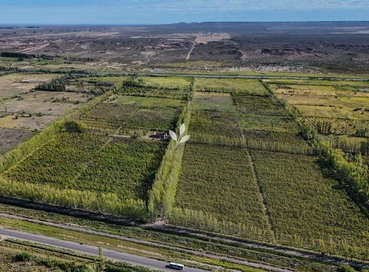 Terreno · 300m²