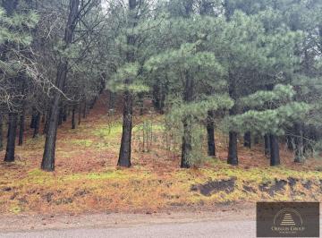 Terreno · 2600m² · Terreno en Venta en Chapelco Golf y Resort San Martin de Los Andes