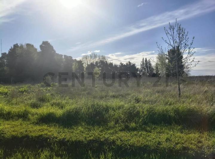 Terreno · 956m²