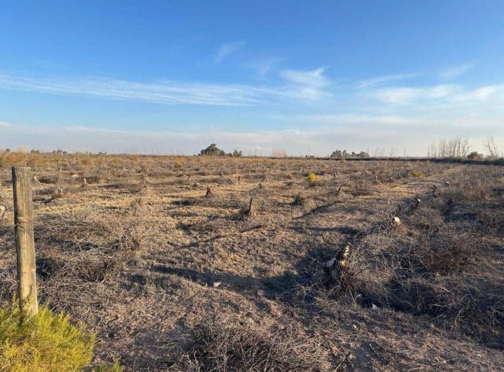 Campo · 200m²