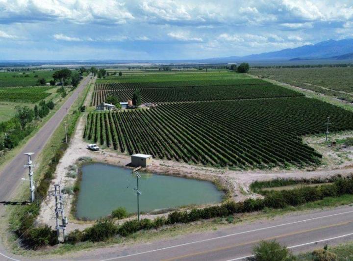 Campo · 10m²