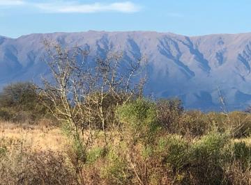 Campo , Santa Rosa de Conlara · Venta Campo 161 Ha en Santa Rosa del Conlara