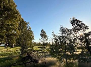 Campo en Venta   · Venta de Chacra en Villa Iris, Puan