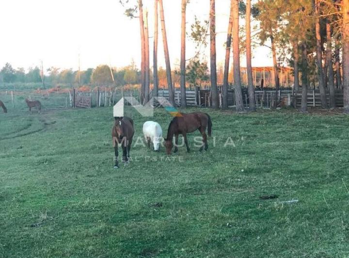 Campo · 1600m²