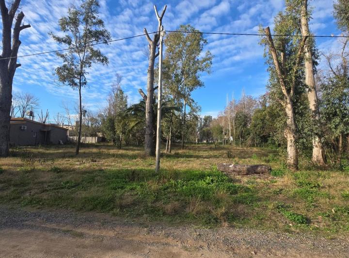 Terreno · 385m²