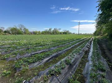 Terreno · 34000m² · Venta Finca Lules 3,4ha con Galpon y Servicios