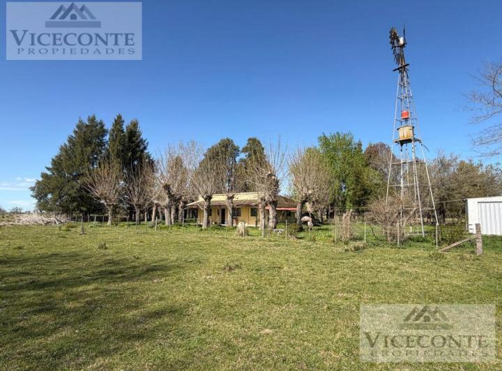 Campo · 75ha