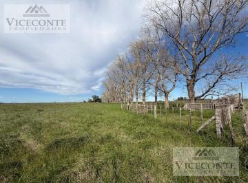 Campo , Chascomús · Campo Ganadero 377 Ha Chascomús. Buenos Aires