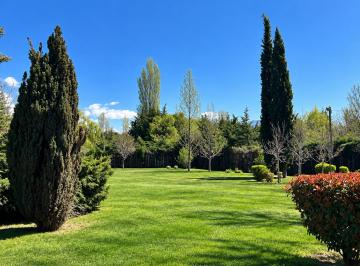 Terreno , Vistalba · Venta Lote en Vistalba Luján de Cuyo