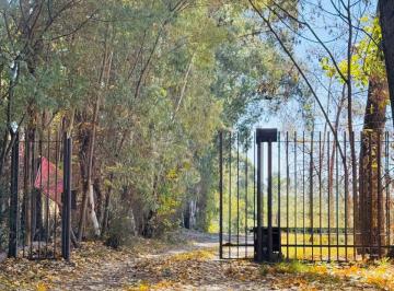 Terreno , Vistalba · Morro Inmobiliaria / Vende Lotes en Loteo de La Reta. Vistalba