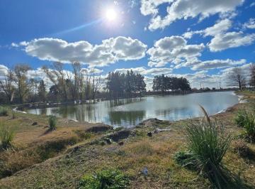Campo , Merlo · Campo en Venta de 55ha Ubicado en Mariano Acosta
