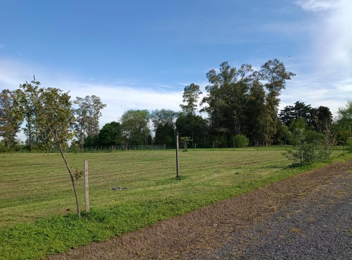Terreno · 2000m²
