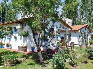 Casa de 11 ambientes, Vistalba · Complejo en Venta de 345 m² en Vistalba, Luján de Cuyo - 7 Dorm.