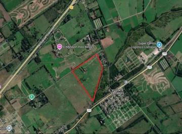 Campo , Cañuelas · Campo en Venta de 41 Ha Ubicado en Cañuelas, Ideal Inversión