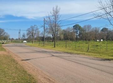 Terreno · 1007m² · Lote en Venta | Quintas de Duggan