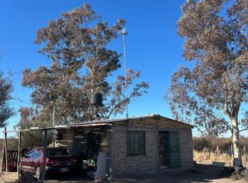 Campo · 250000m² · 1 Dormitorio · Campo en Venta en Santa Rosa Mendoza, Las Catitas