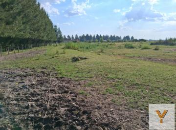 Terreno · 8662m² · Terreno en Venta - 8662 m² - Coronel Brandsen
