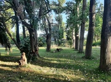 rs:c4608qz3b1vtxwgzbzurpdce · Terreno Lote Exaltacion de La Cruz Pque Exaltacion